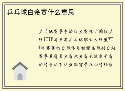 乒乓球白金赛什么意思